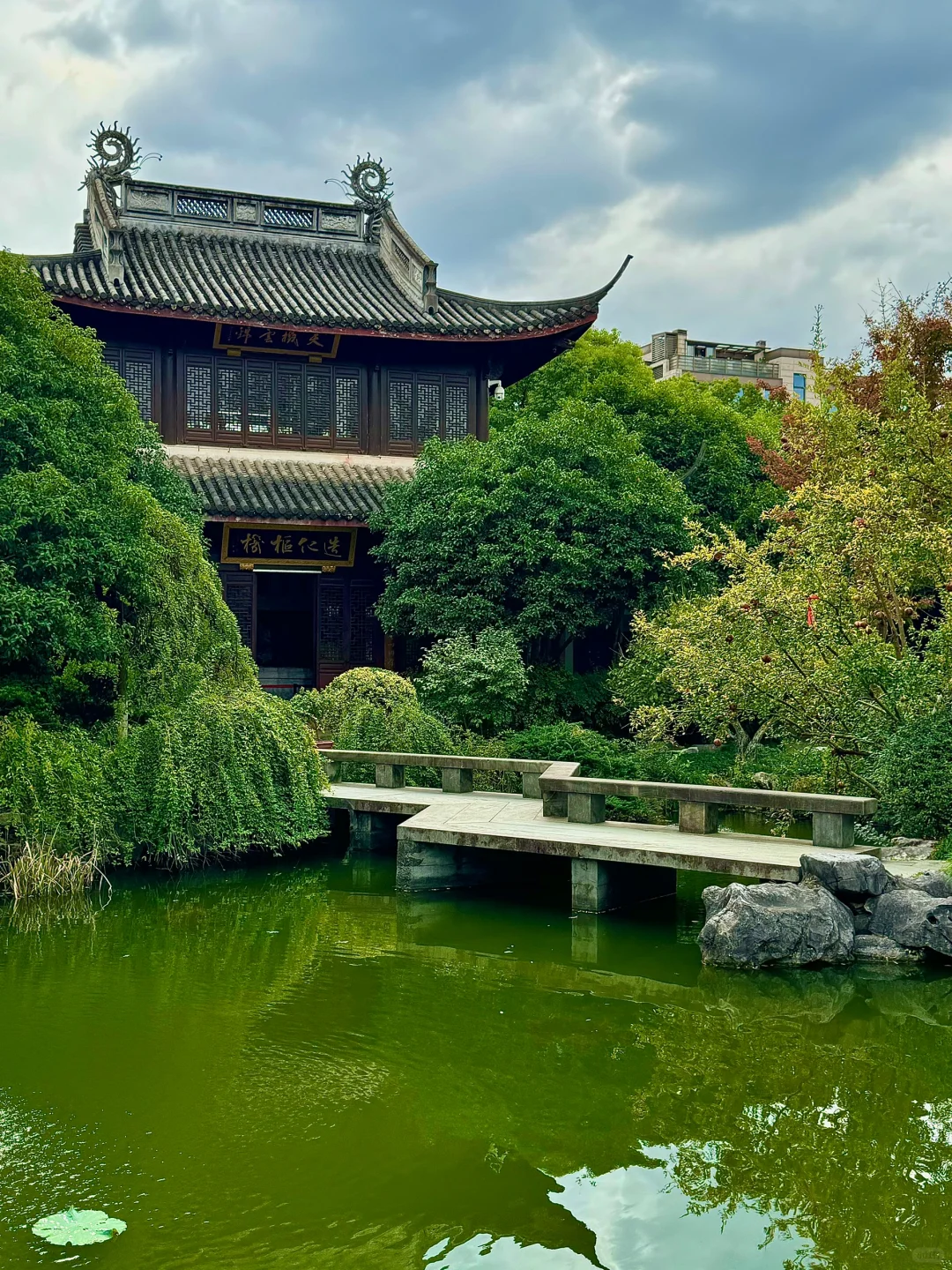 杭州!!我可以呆一下午的小众景点🤫