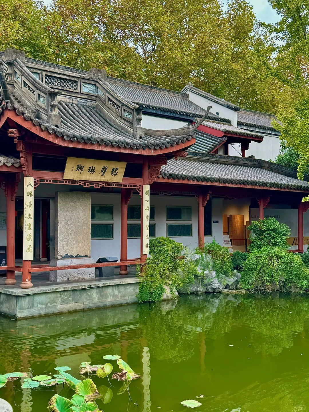 杭州!!我可以呆一下午的小众景点🤫