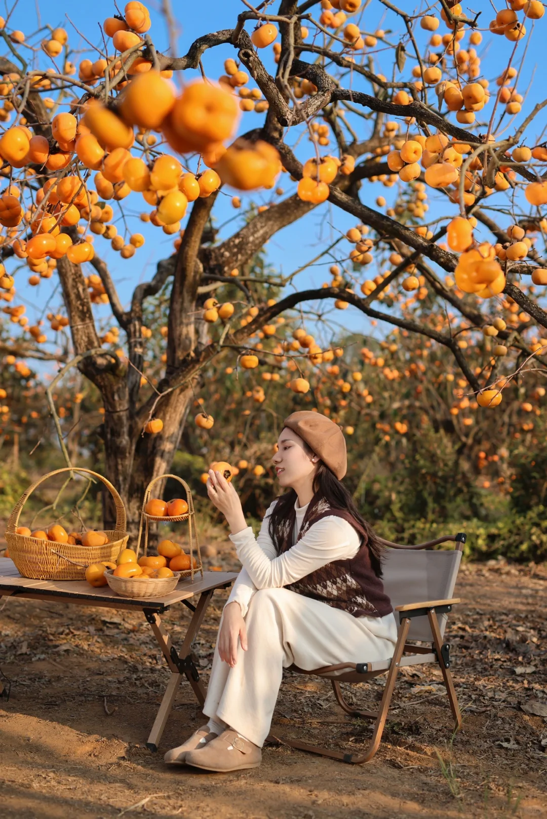 一柿知秋🍅柿柿如意｜桂林秋天居然这么美 🔥