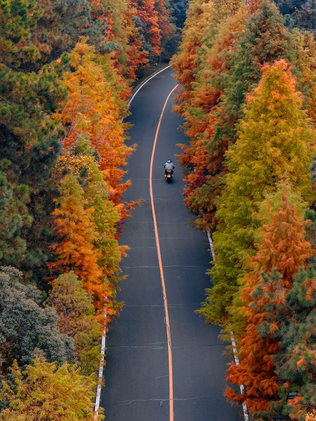 瞒不住了🤣去了趟南京，发朋友圈被问爆了‼️