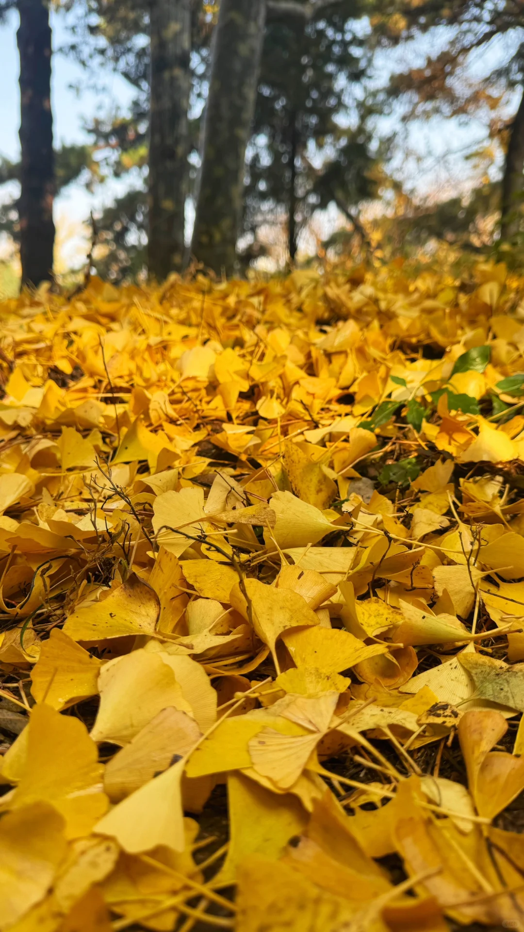 北京四天四夜旅游攻略亲子游
