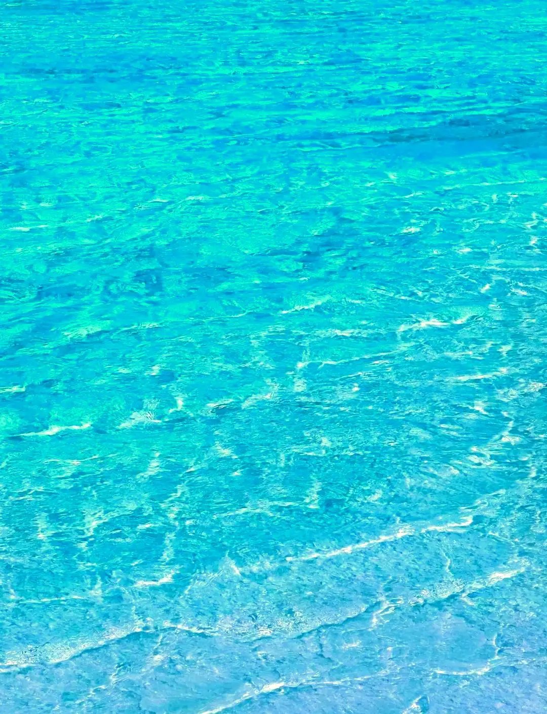 青海湖旅游攻略：最佳时间与必打卡景点