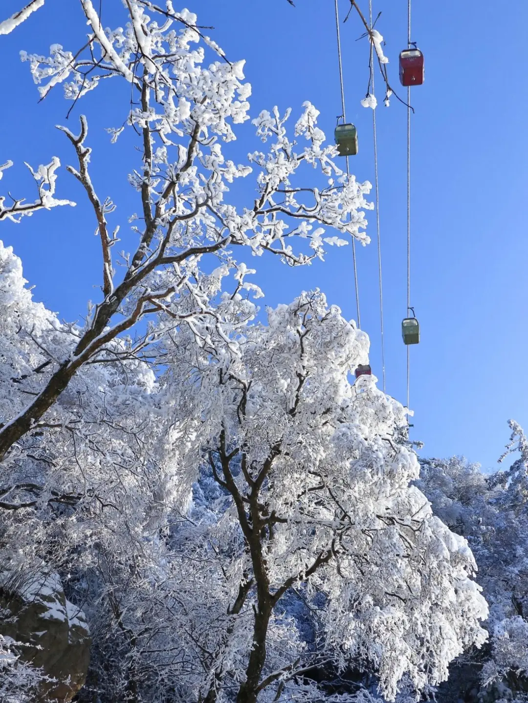 这哪里是老君山❄这根本就是天宫吧