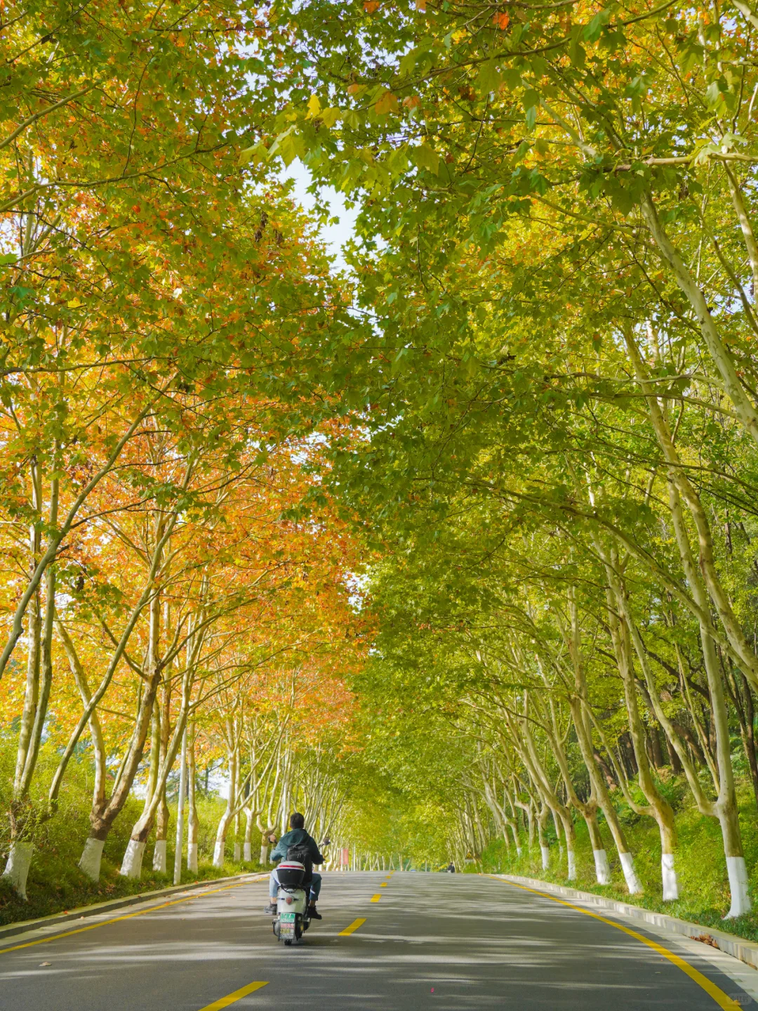 南京赏秋🍁小众徒步路线，走进秋日童话