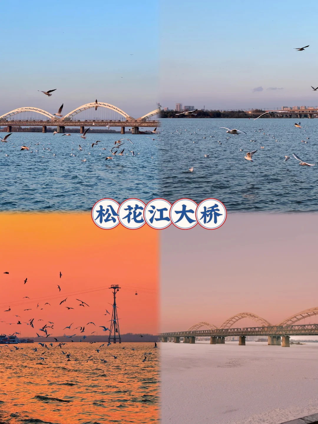 12月哈尔滨旅游攻略!看这一篇就够了!