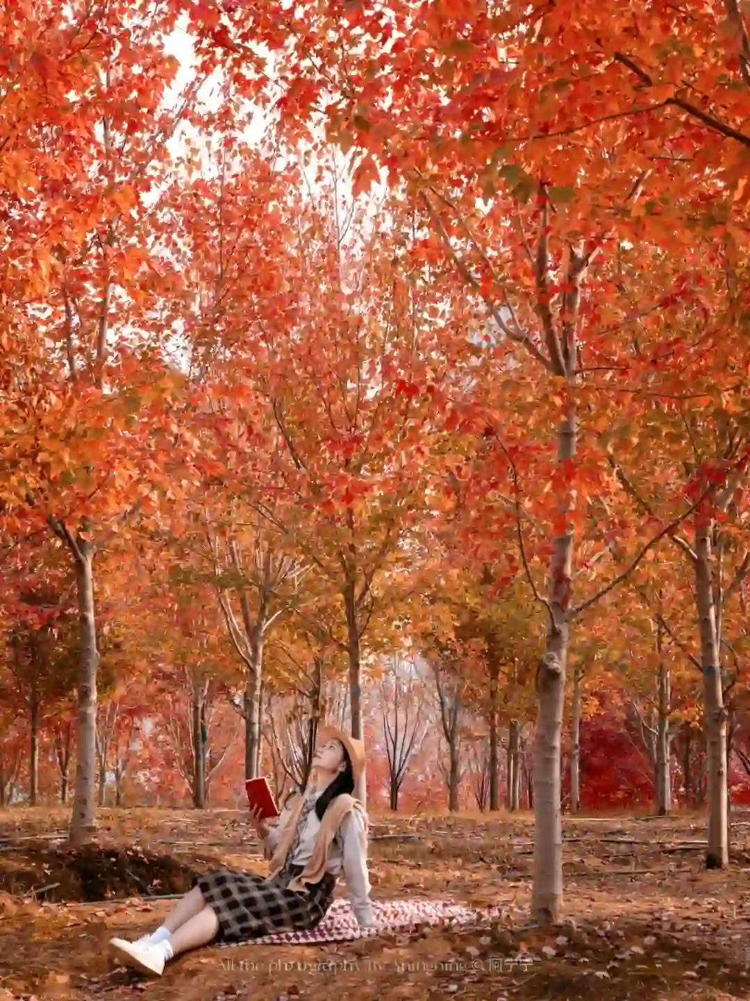 再过一周，武汉这里将是封神的存在！！！