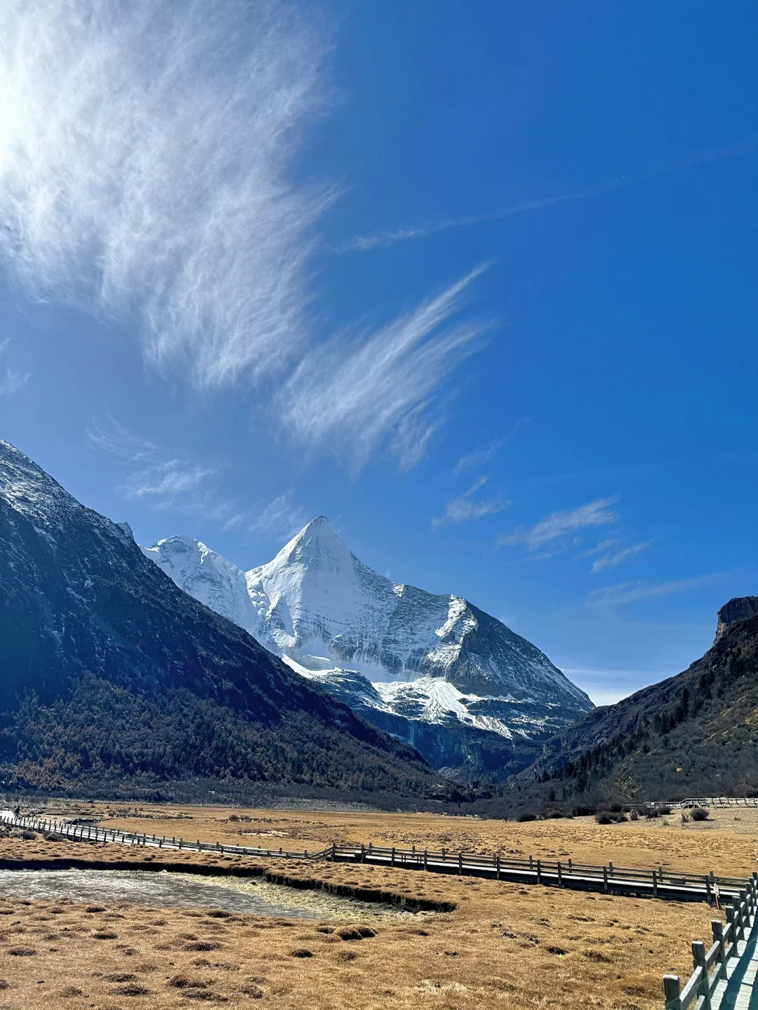 11.21📍川西已回，live实况，听劝快改行程‼️