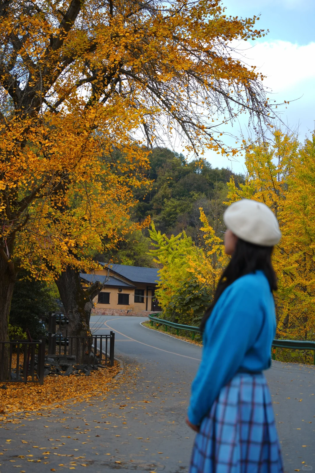 老天奶！求求告诉武汉人！这里的银杏美绝了！
