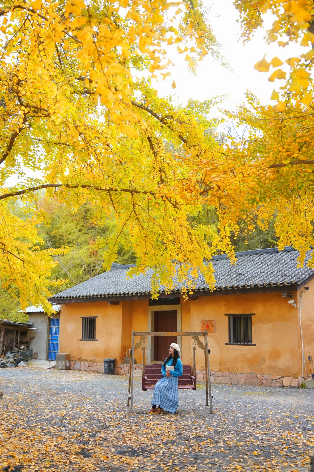 老天奶！求求告诉武汉人！这里的银杏美绝了！