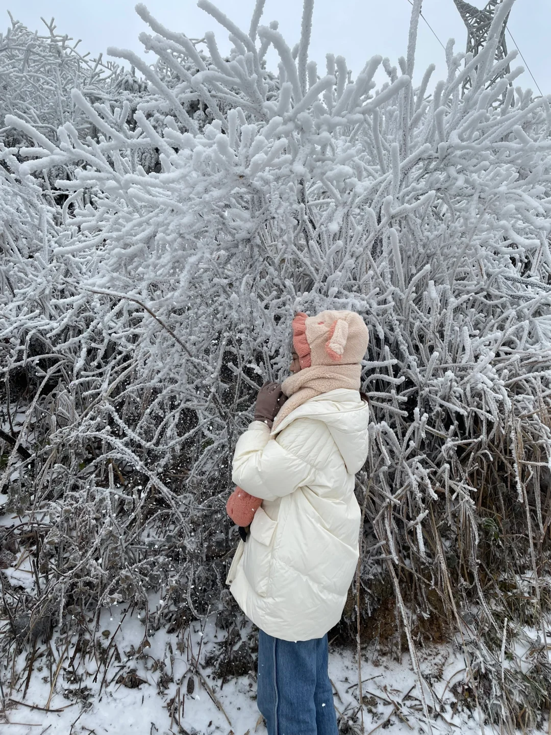 广东看雪-清远云冰山 十二月底