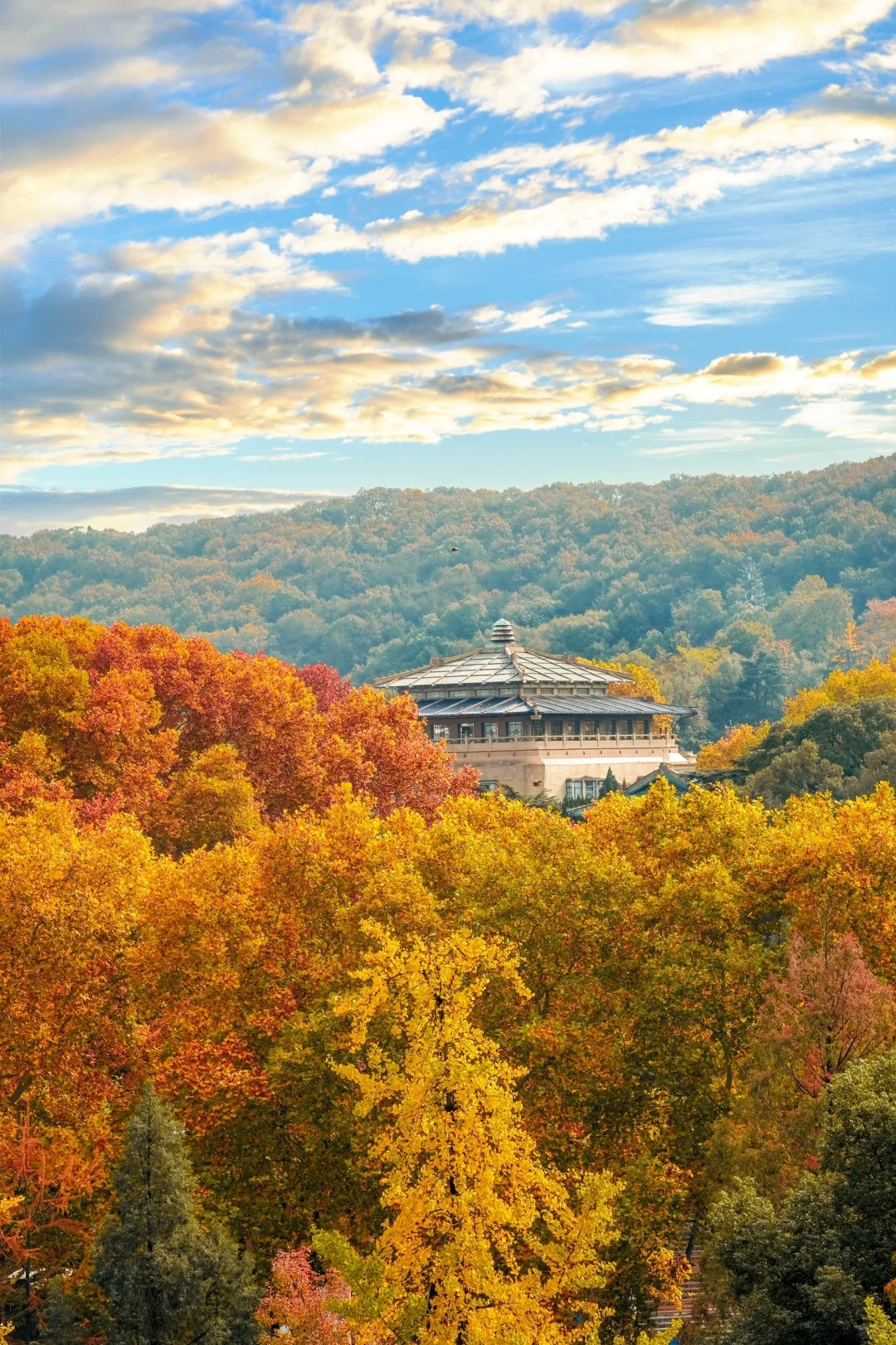 再过一周，武汉这里将是封神的存在！！！