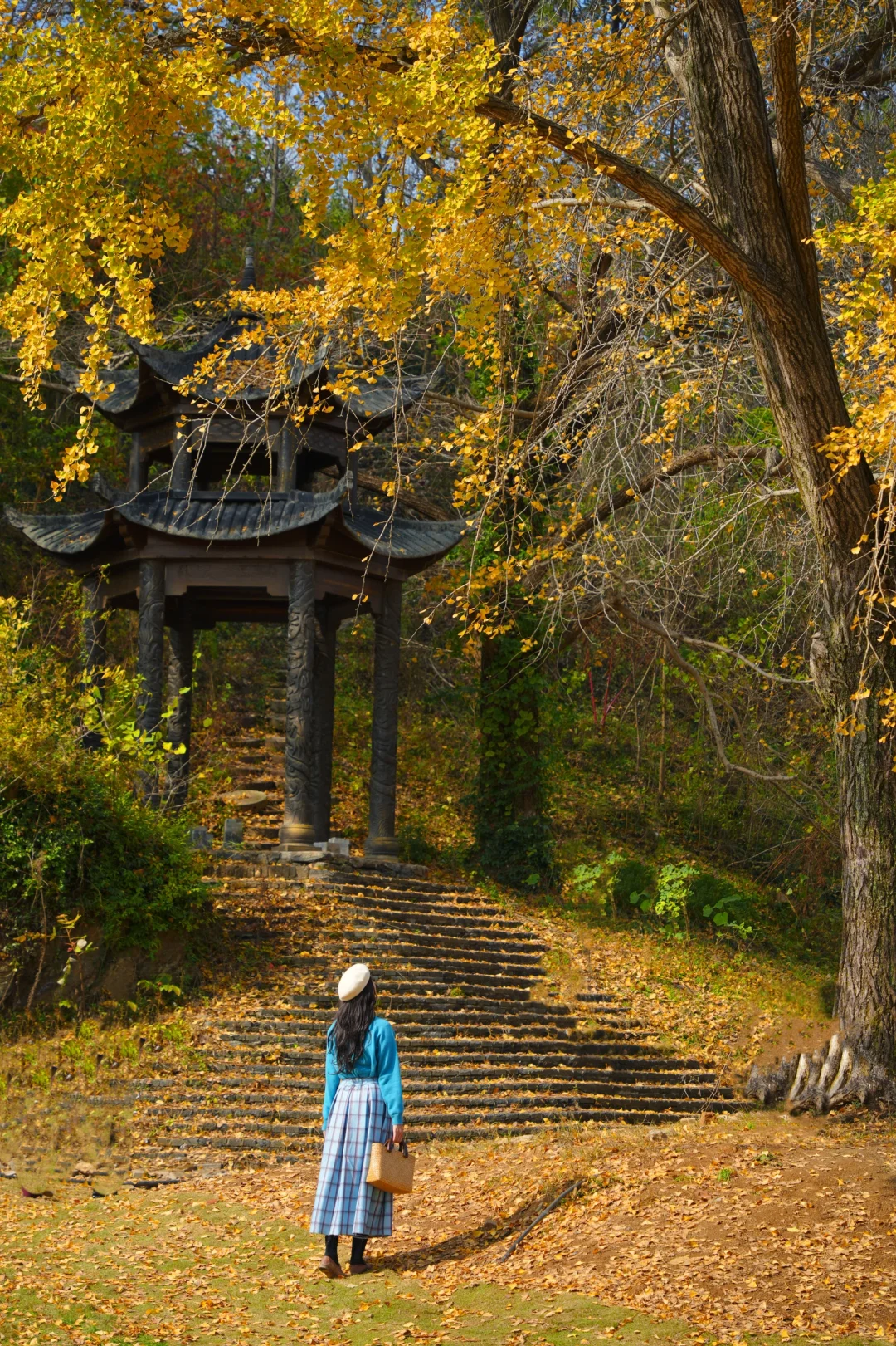 老天奶！求求告诉武汉人！这里的银杏美绝了！
