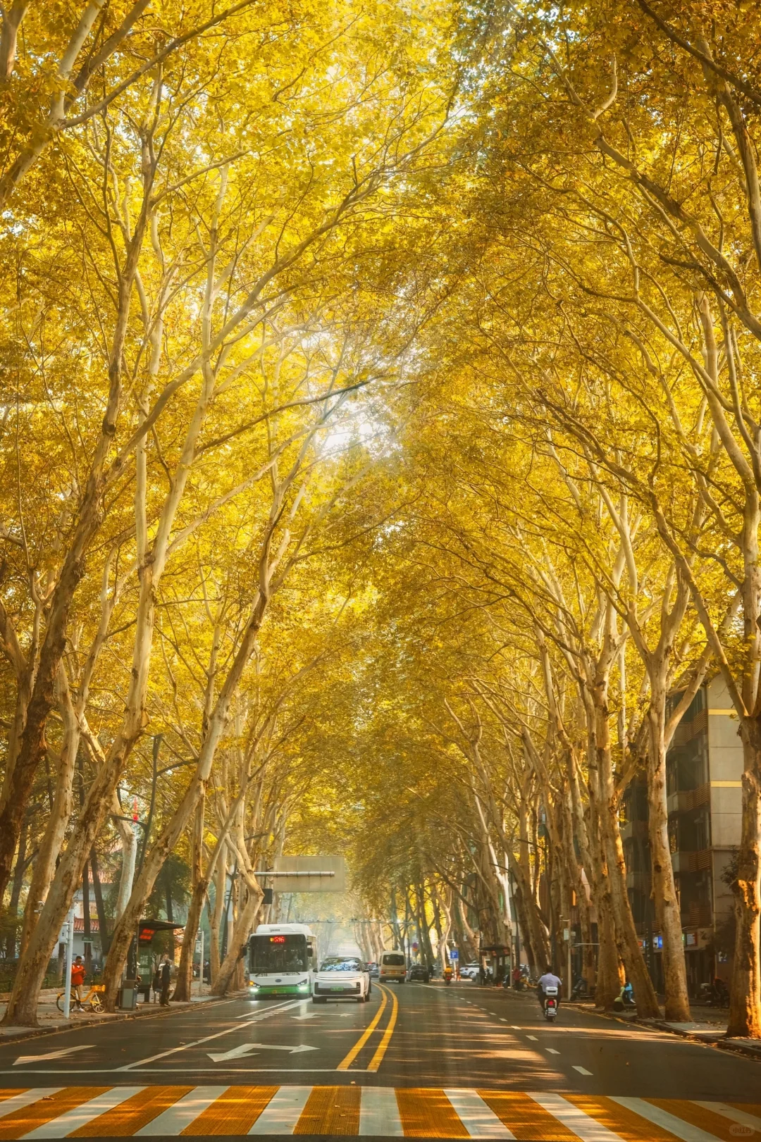 再过一周，武汉这里将是封神的存在！！！