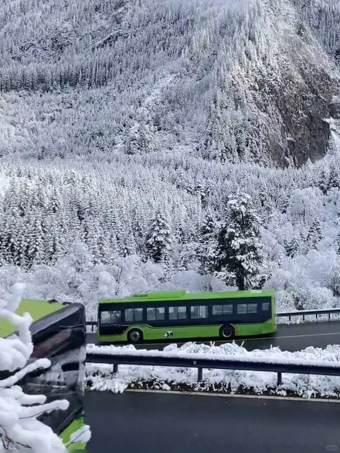 11.19📍九寨沟崩溃已回,真心建议还没来的…