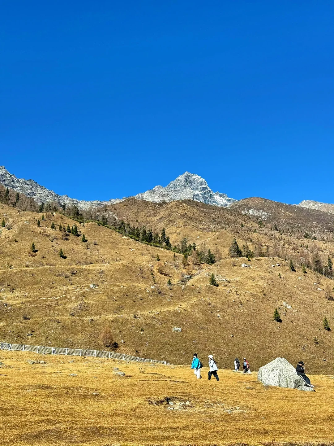 11.21📍川西已回，live实况，听劝快改行程‼️