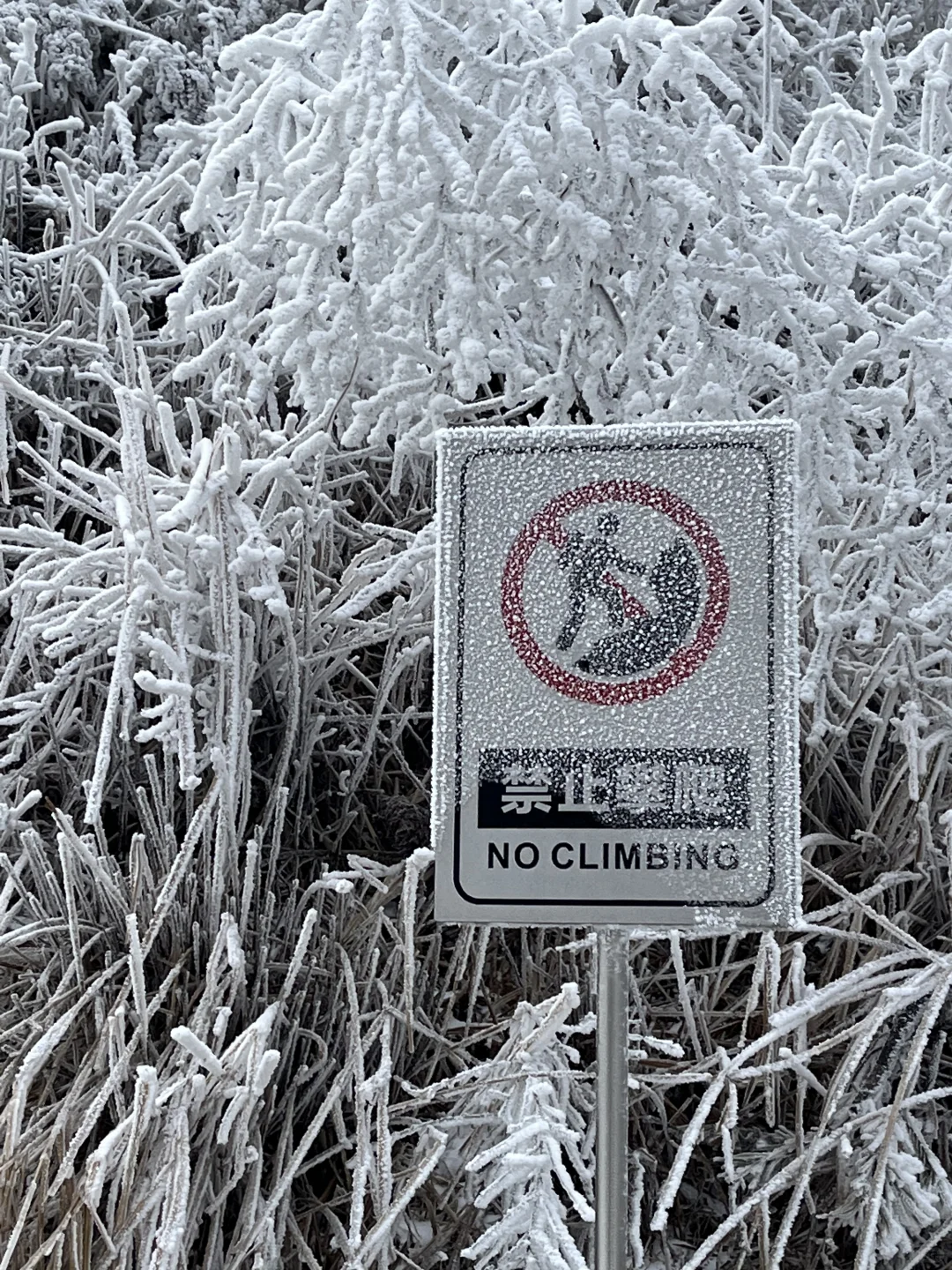 广东看雪-清远云冰山 十二月底