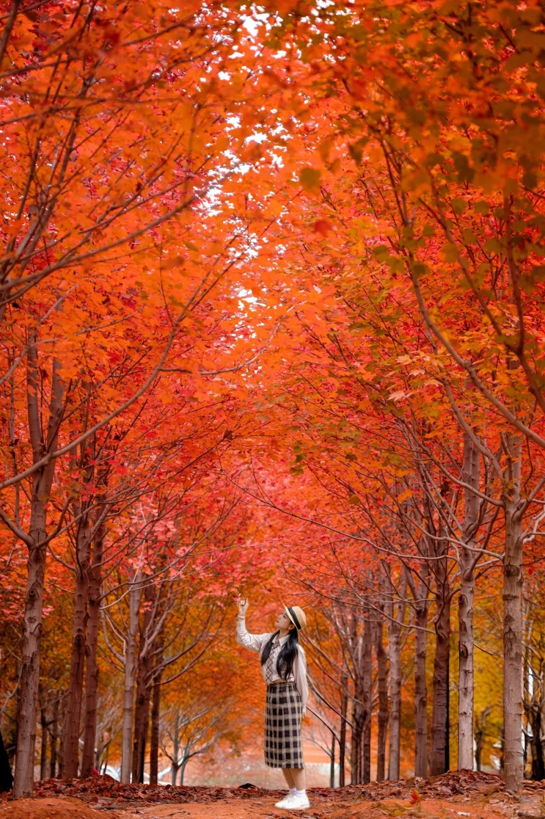 再过一周，武汉这里将是封神的存在！！！