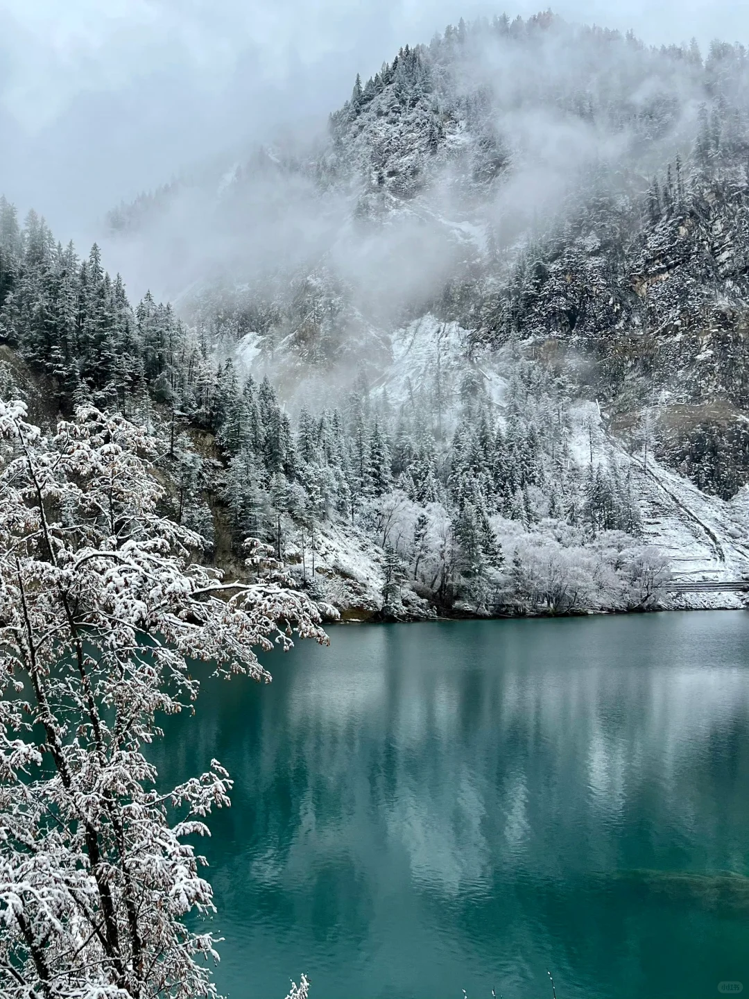 11.19📍九寨沟崩溃已回,真心建议还没来的…