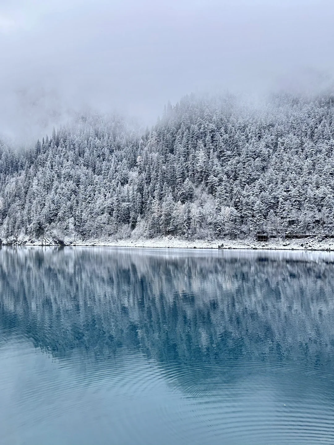 11.19📍九寨沟崩溃已回,真心建议还没来的…