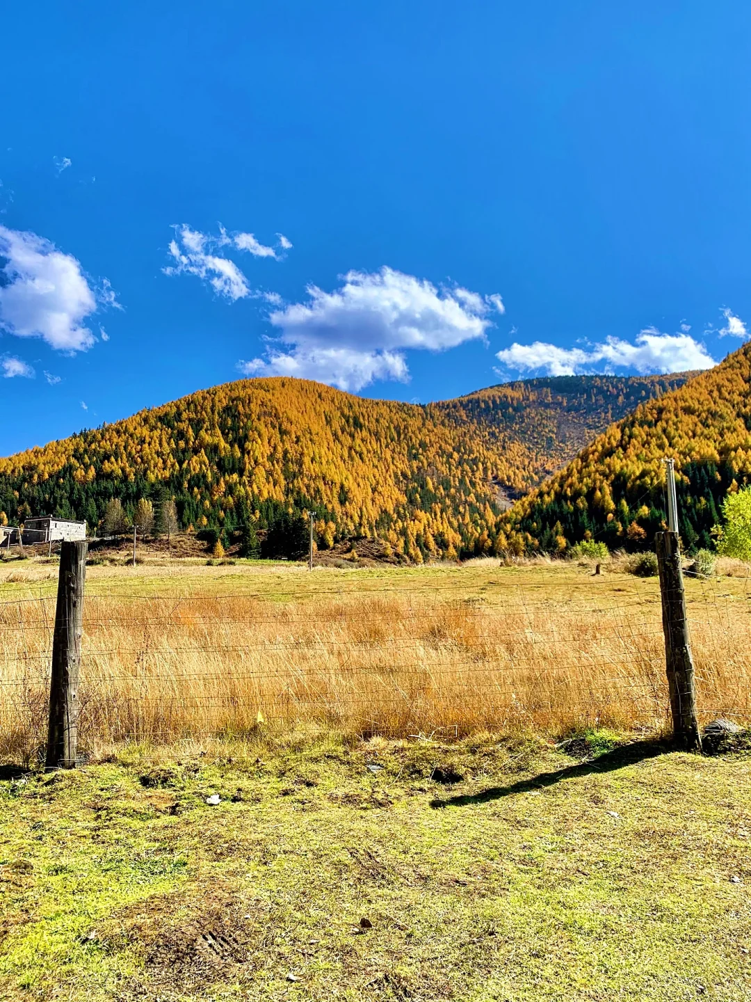 11.21📍川西已回，live实况，听劝快改行程‼️