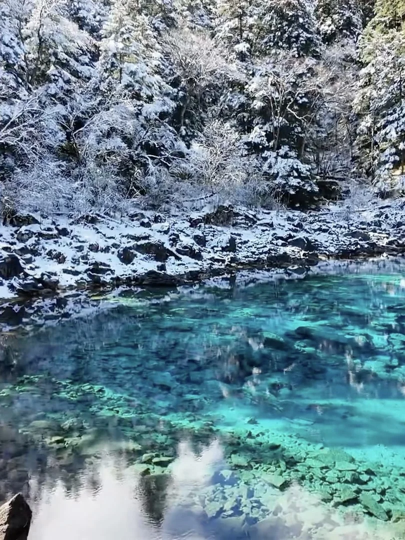 11.19📍九寨沟崩溃已回,真心建议还没来的…