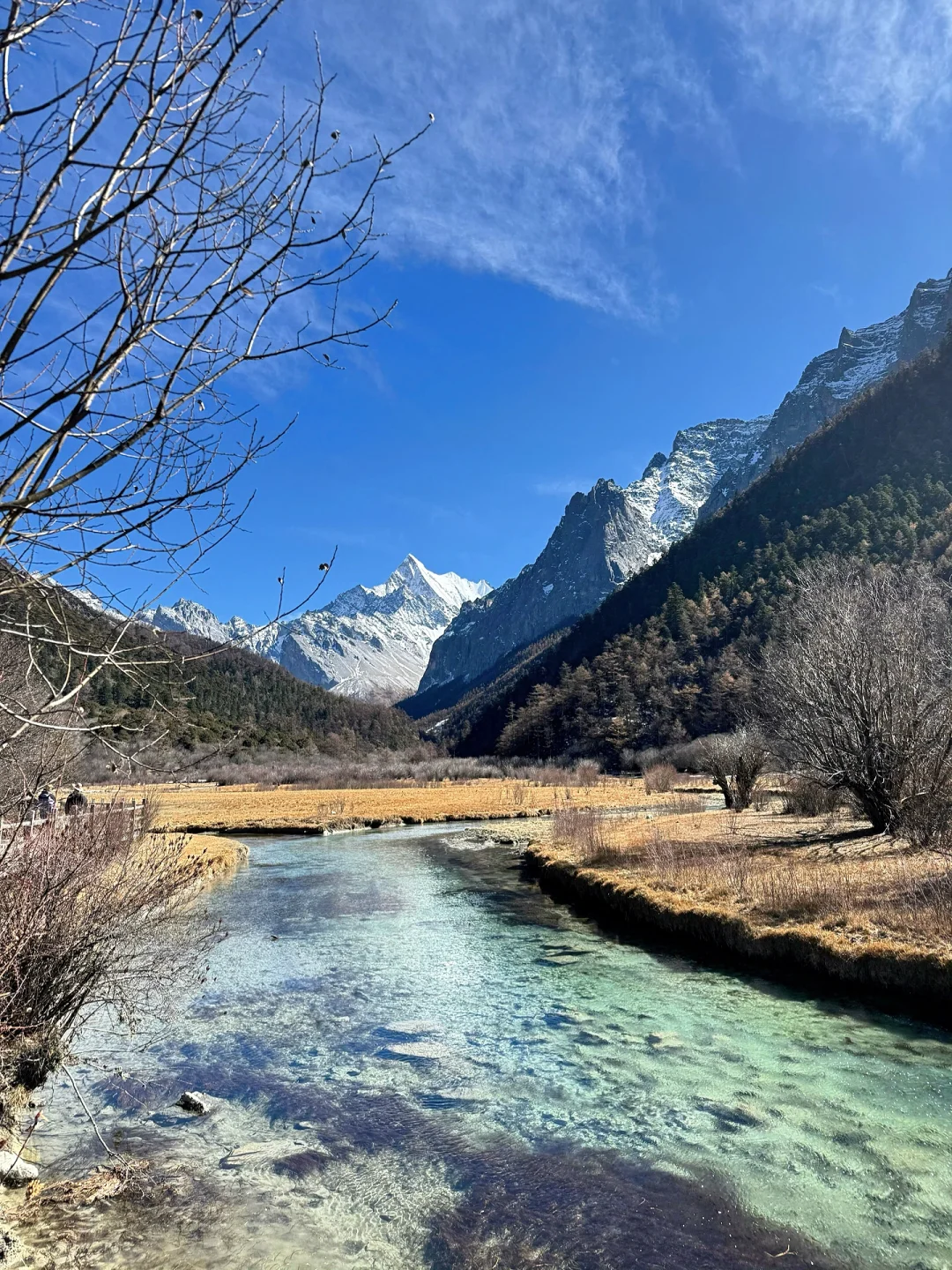 11.21📍川西已回，live实况，听劝快改行程‼️