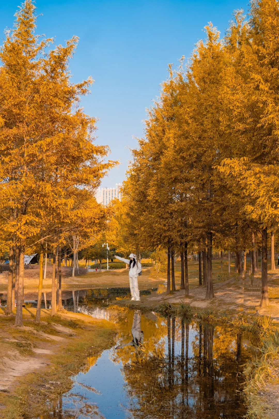 再过一周，武汉这里将是封神的存在！！！