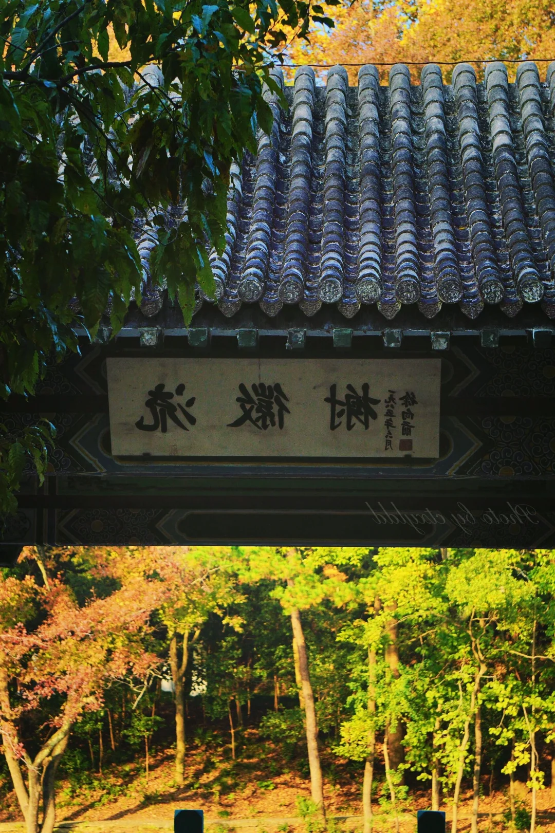 南京秋冬绝美景点推荐，不来这里你糊涂啊～