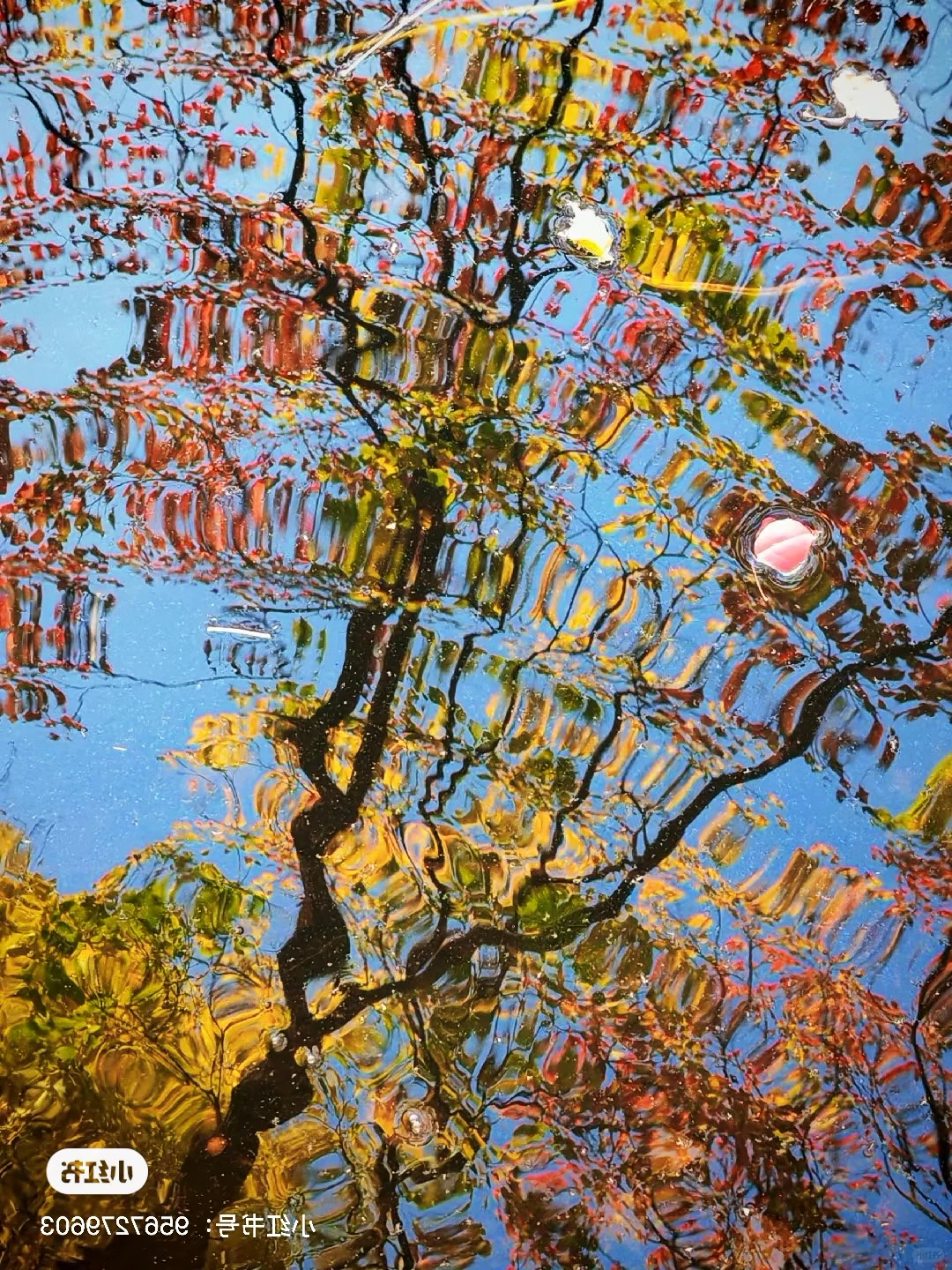 南京秋冬绝美景点推荐，不来这里你糊涂啊～