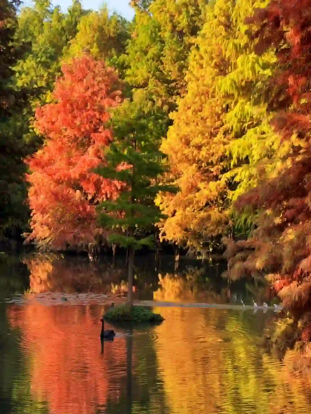 南京秋冬绝美景点推荐，不来这里你糊涂啊～