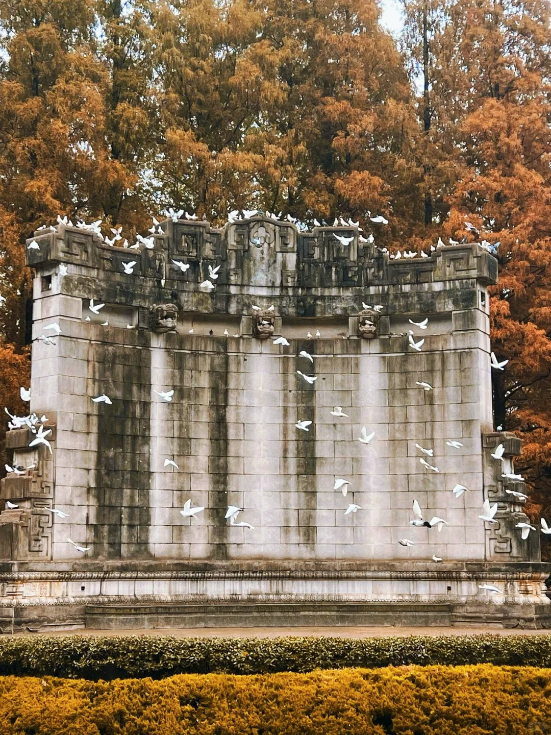 南京秋冬绝美景点推荐，不来这里你糊涂啊～