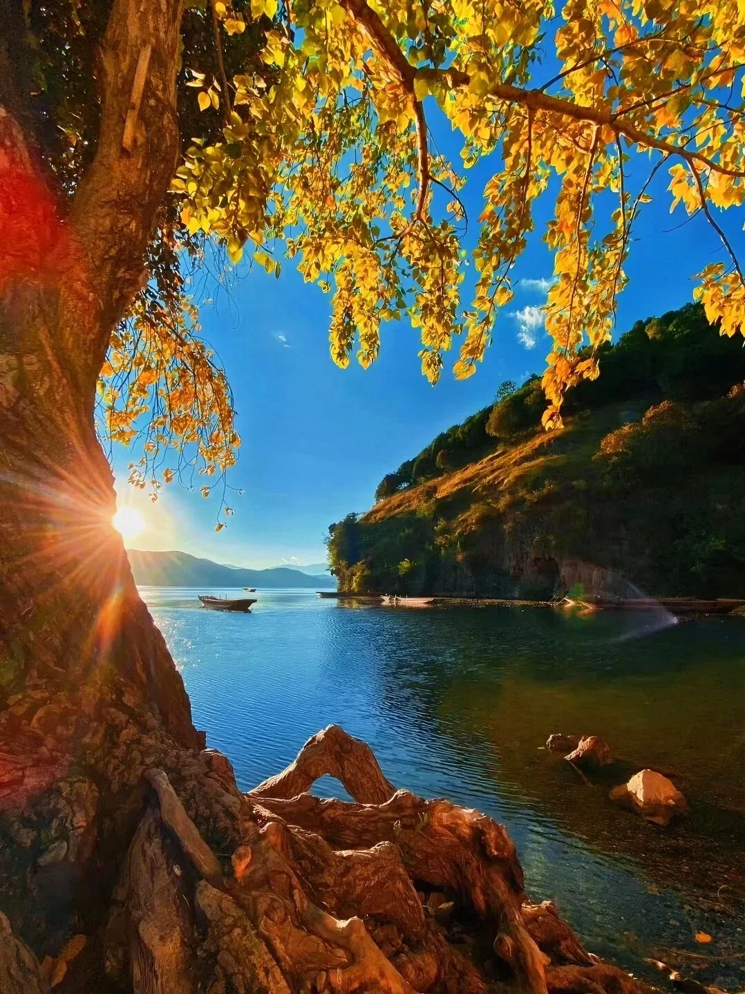 人生建议:秋冬季一定要去一趟云南🍂