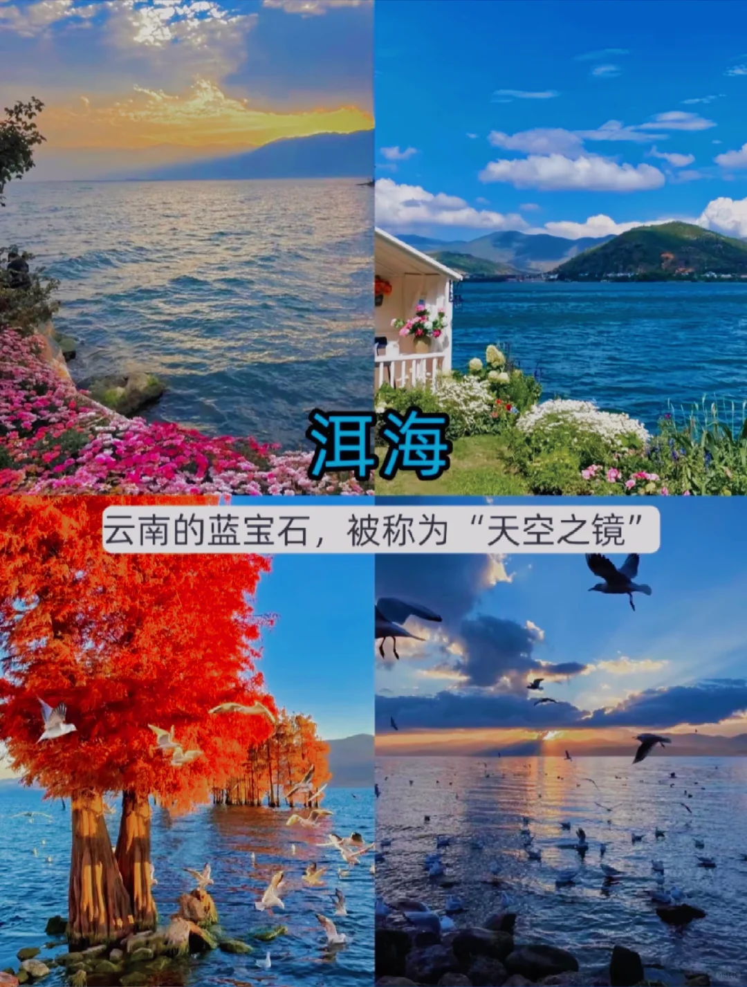 11-12月计划来云南的姐妹注意了。