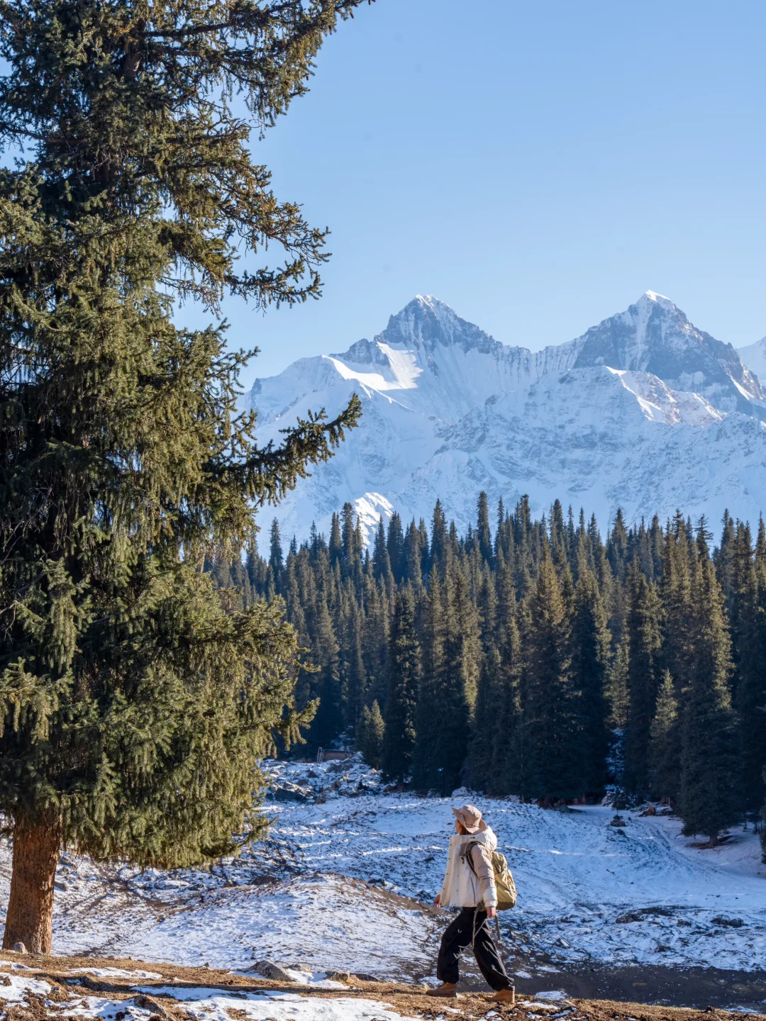 夏塔冬季开放啦!!冬季的伊犁才是雪景天花板