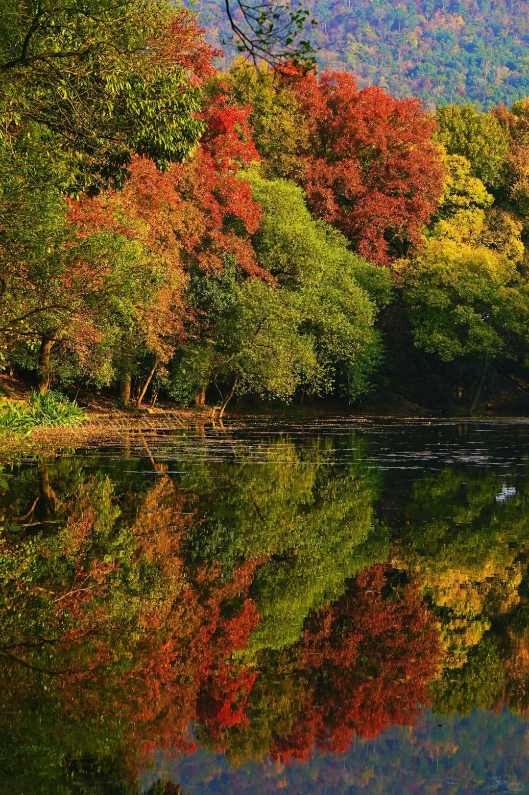 南京秋冬绝美景点推荐，不来这里你糊涂啊～