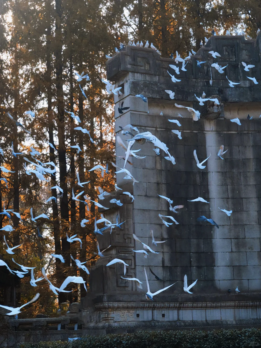 南京秋冬绝美景点推荐，不来这里你糊涂啊～