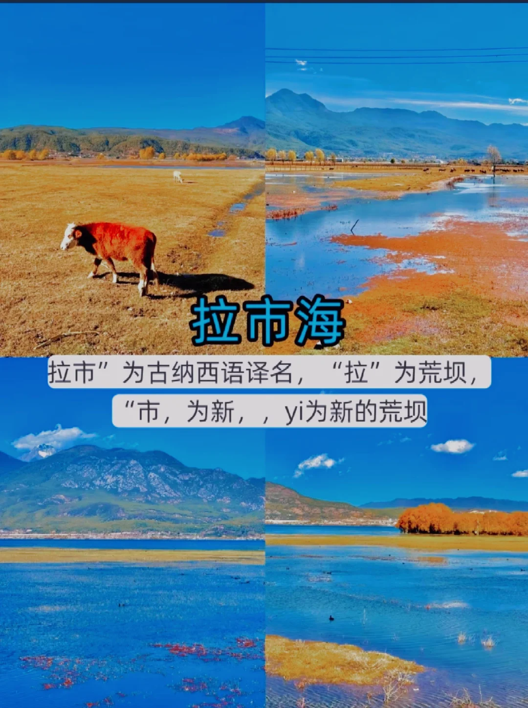 11-12月计划来云南的姐妹注意了。