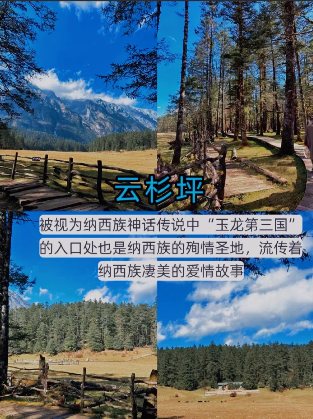 11-12月计划来云南的姐妹注意了。