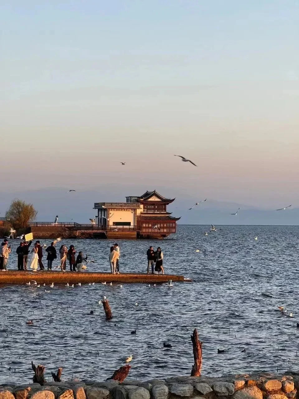 人生建议:秋冬季一定要去一趟云南🍂