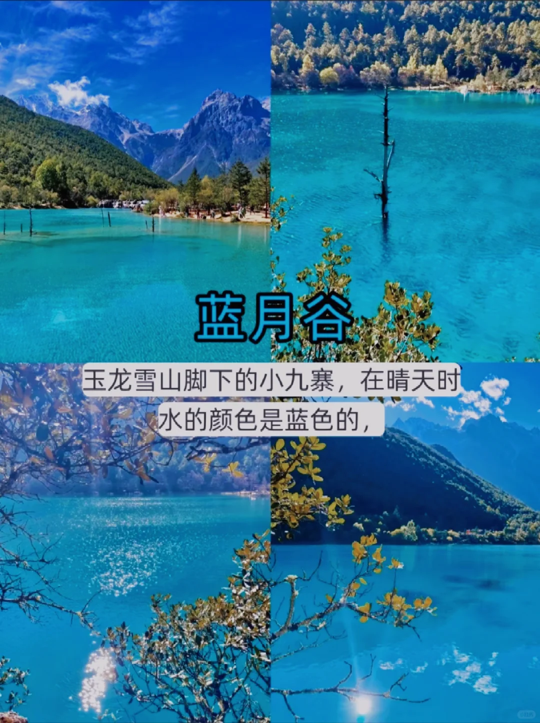 11-12月计划来云南的姐妹注意了。