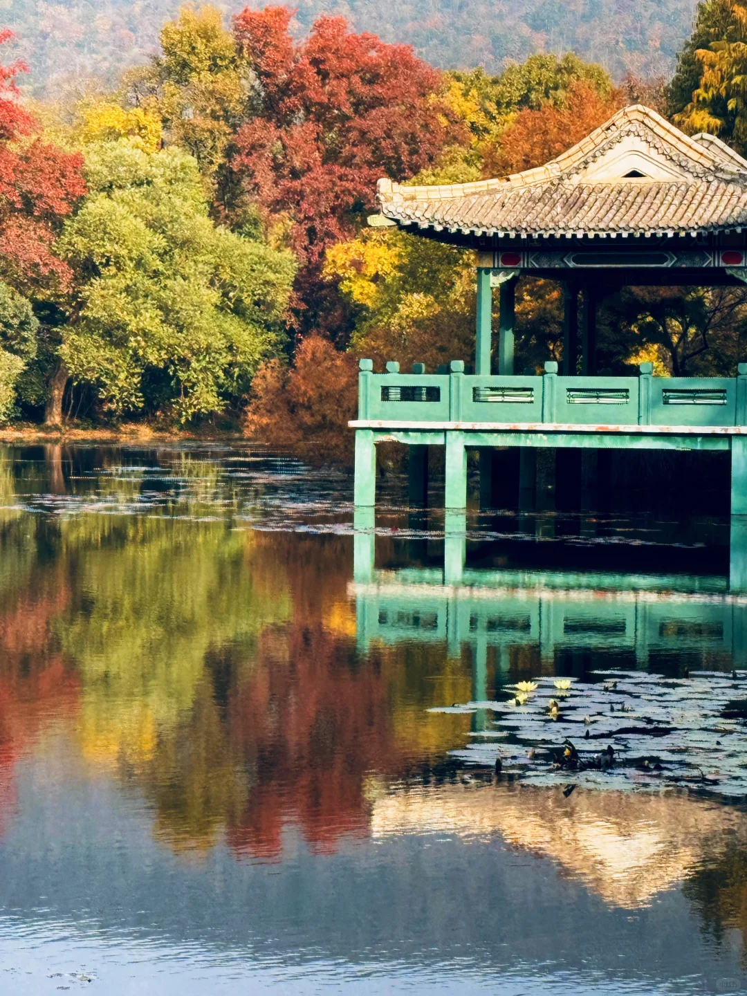 南京秋冬绝美景点推荐，不来这里你糊涂啊～