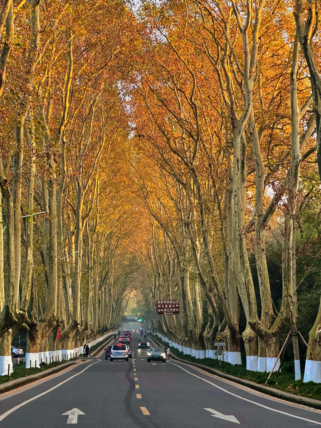 南京秋冬绝美景点推荐，不来这里你糊涂啊～