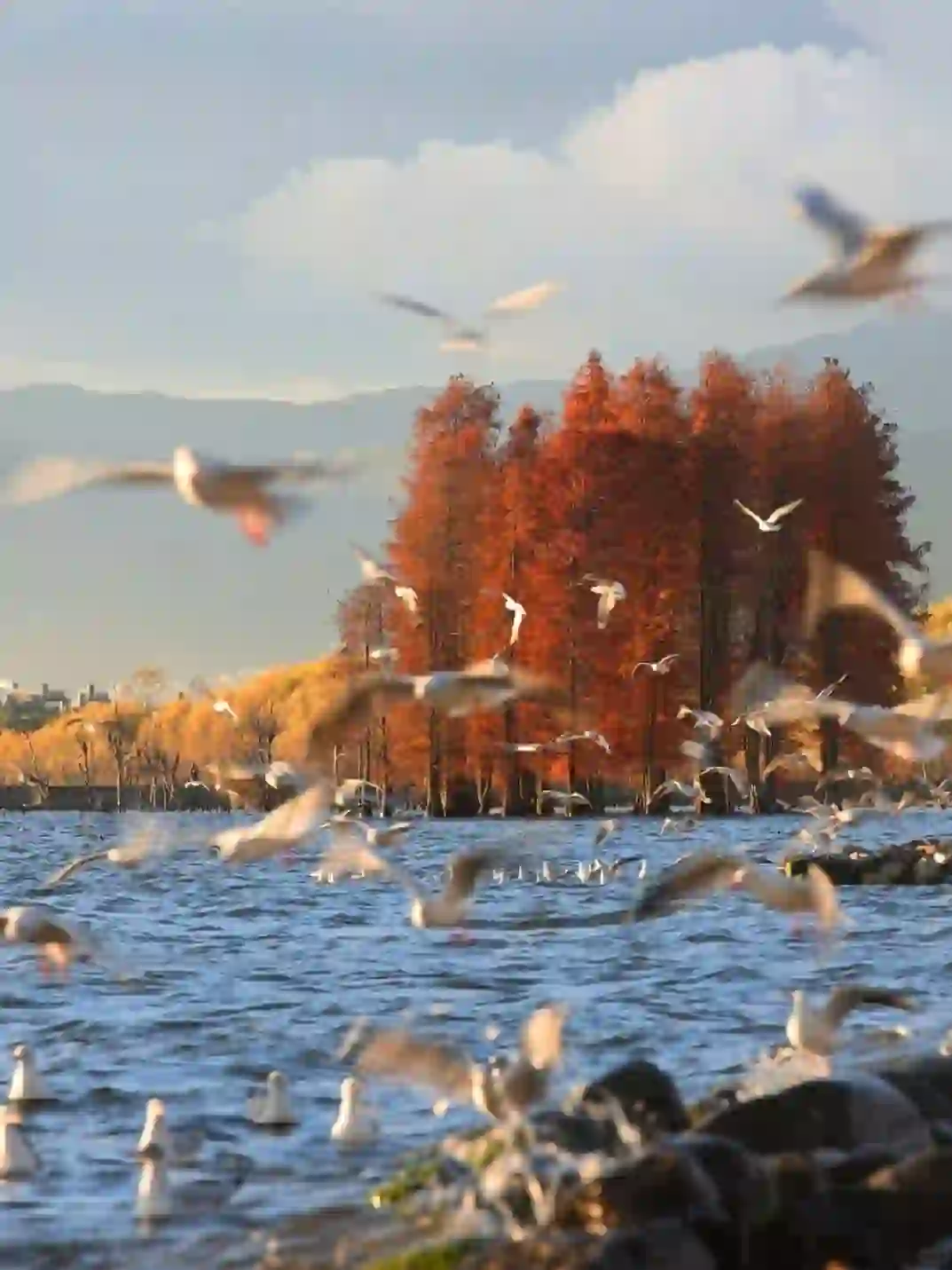 人生建议:秋冬季一定要去一趟云南🍂