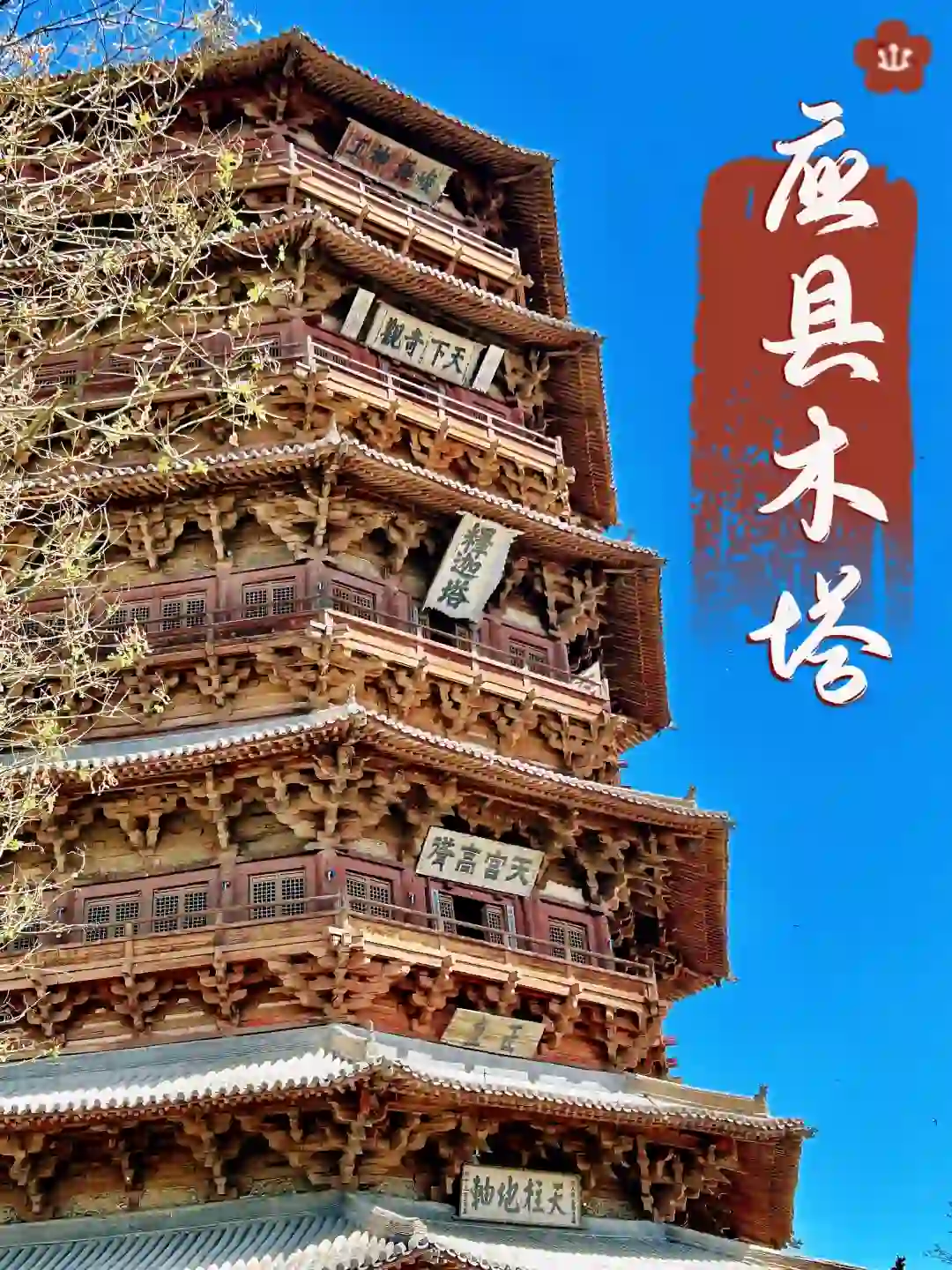 应县木塔,见到你的那一刻我就后悔了😭