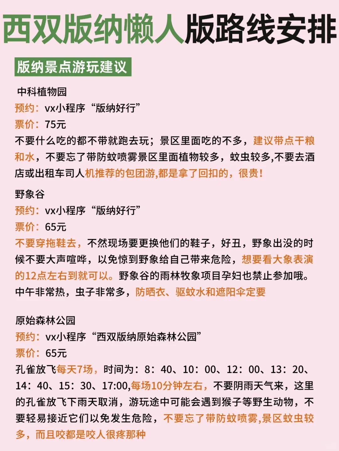 11-12🈷去版纳懒人旅游攻略，直接抄作业