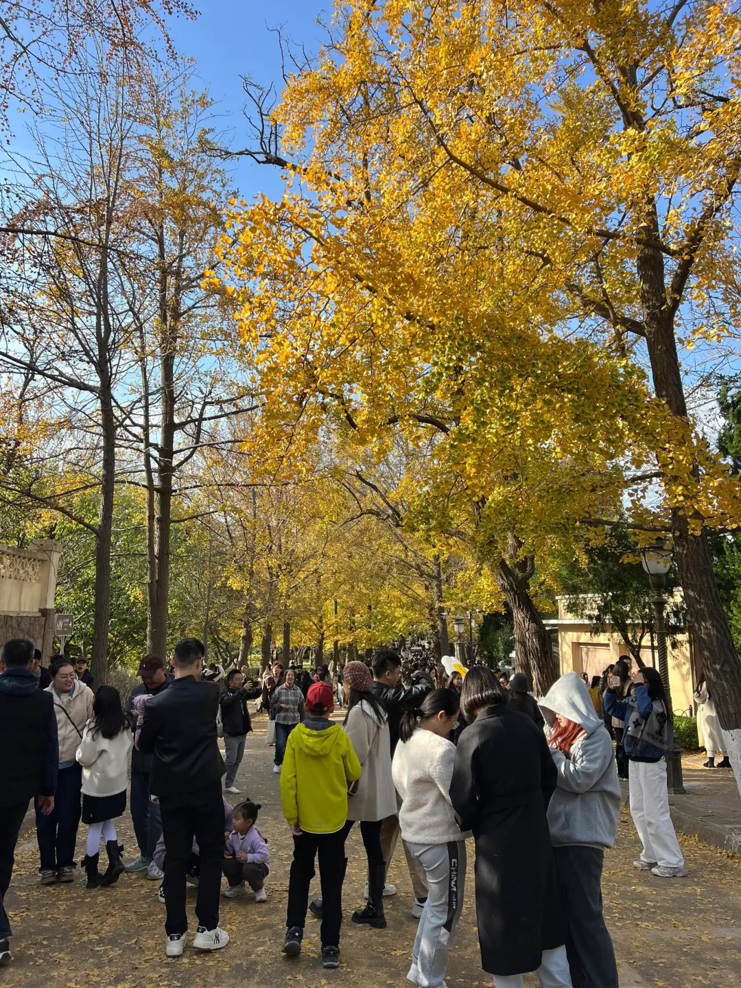 青岛避雷现状，11、12月要去旅游尽早改行…