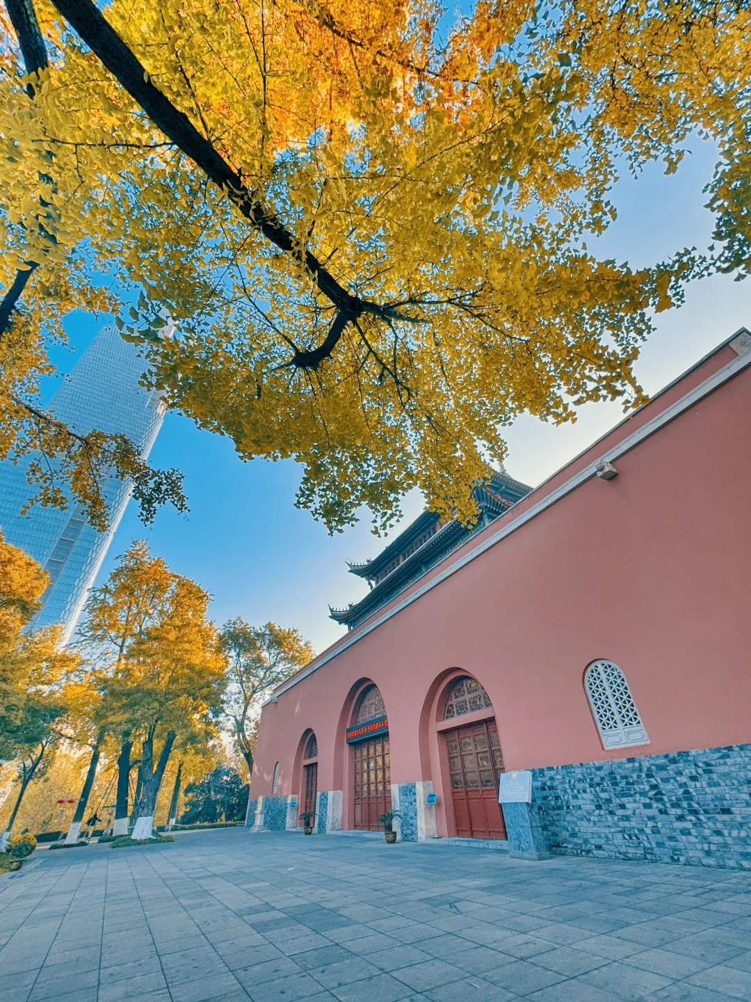 秋天才是南京的统治区啊😭（全部免费附攻略）