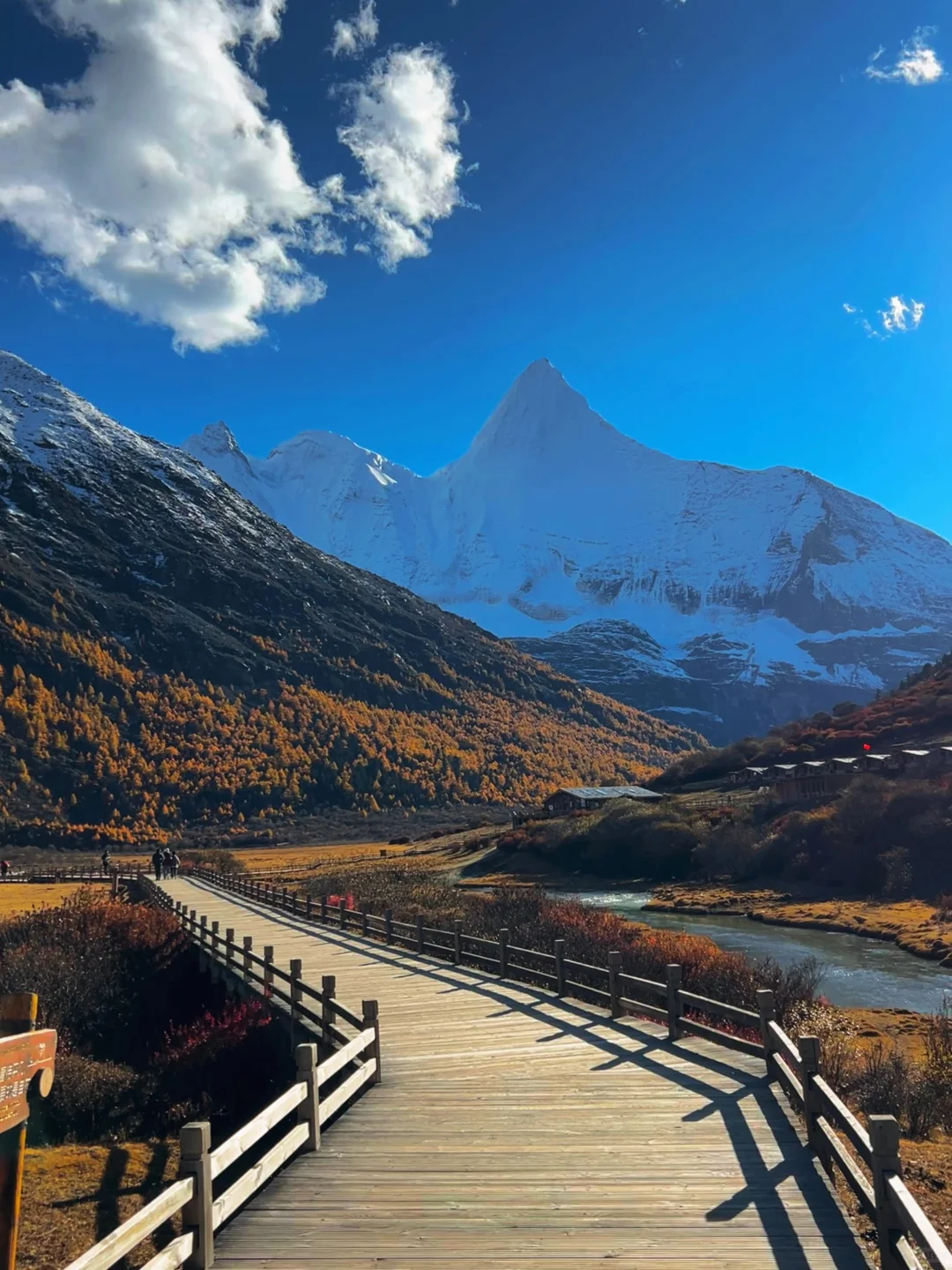 10.27稻城亚丁的秋日画布让人心醉🏔️