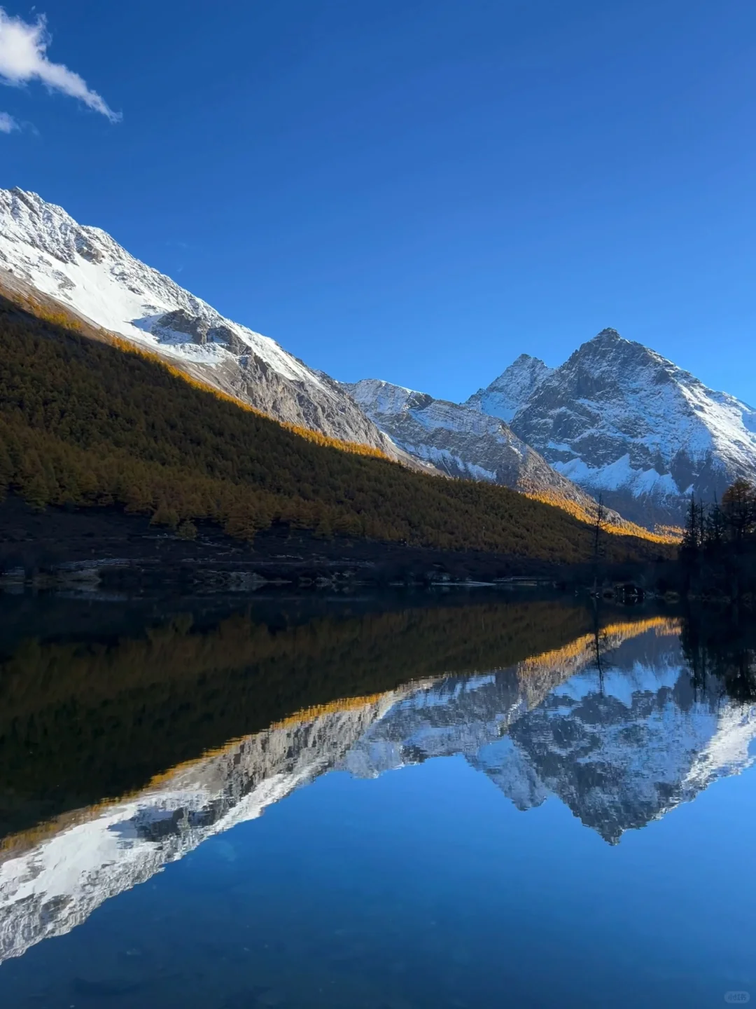 10.27稻城亚丁的秋日画布让人心醉🏔️