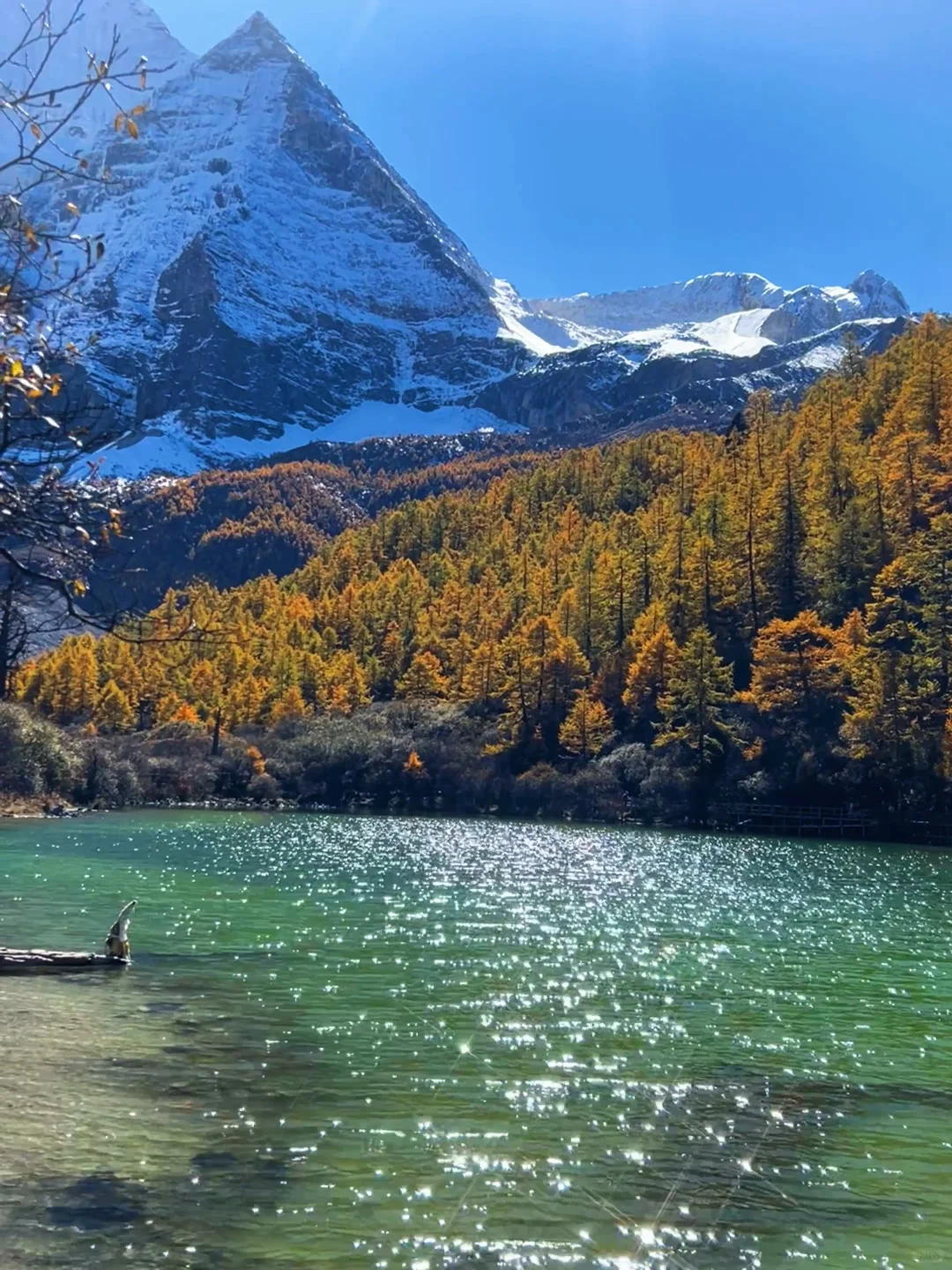 10.27稻城亚丁的秋日画布让人心醉🏔️